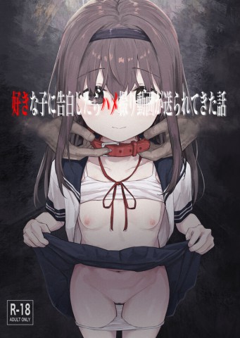 Suki na Ko ni Kokuhaku Shitara Hamedori Douga ga Okurarete Kita Hanashi